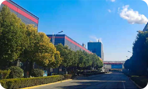 山東棗莊 10萬(wàn)噸草酸項(xiàng)目