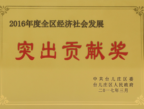 臺(tái)兒莊區(qū)經(jīng)濟(jì)社會(huì)發(fā)展突出貢獻(xiàn)獎(jiǎng)